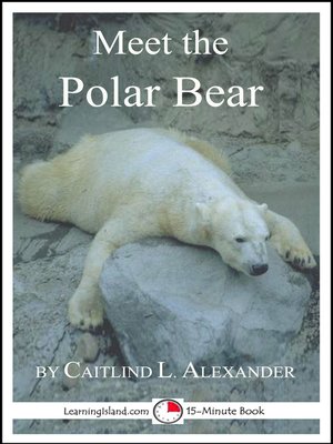 cover image of Meet the Polar Bear